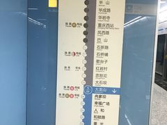 -大龙山(地铁站)