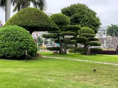 -石炮台公园
