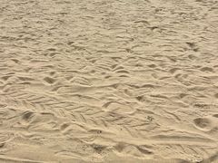 -碧海金沙