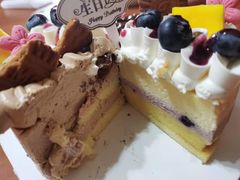 -维尔纳斯·生日蛋糕动物奶油冰淇淋蛋糕(人大店)