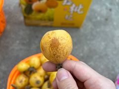 -塘栖枇杷特色园区