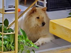 -肆兮眼镜·蔡司·徕卡战略合作店(大坪店)