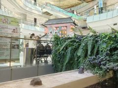 -凯德广场(学府店)