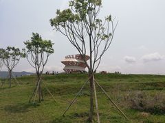 -光明小镇欢乐田园