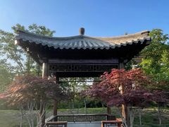 -莲花池公园