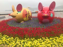 -野狸岛