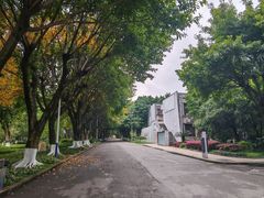 -西南政法大学(沙坪坝校区)
