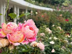 -人民公园(罗湖区)