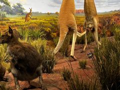 -陕西自然博物馆