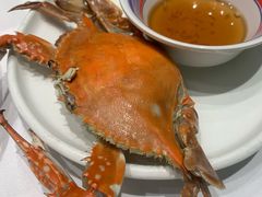 清蒸梭子蟹-开海·红岛海鲜虾水饺(石老人店)