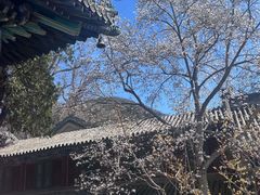-潭柘寺景区