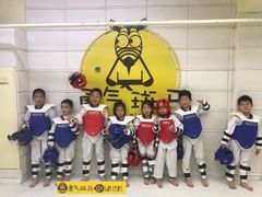 -勇气斑马·巴西柔术&跆拳道(浦东三林店)