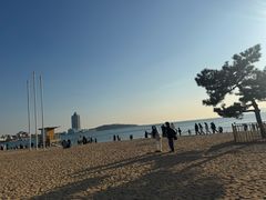 -青岛海滨风景区