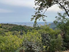 -北京西山国家森林公园