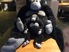景观位-Who乎coffee&bar