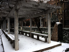 -陕西师范大学(雁塔校区)