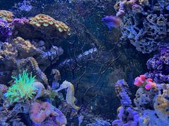 -杭州长乔极地海洋公园