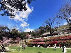 -红螺寺