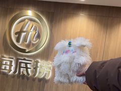 -海底捞大排档火锅(打浦路店)