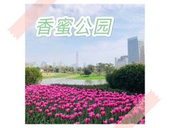 -香蜜公园
