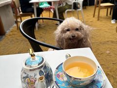 -弗兰克牛排西餐厅Ribone steak house(柠檬花园店)