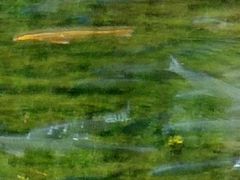 -水磨沟公园