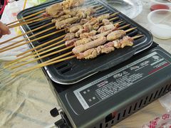 -西青郊野公园