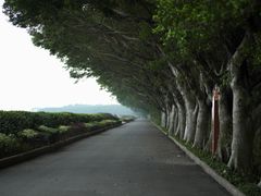 -大湾区中央湿地公园