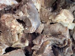 -金鼎雪山牦牛杂火锅(理县总店)