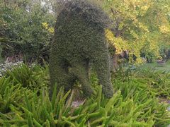 -墨尔本皇家植物园