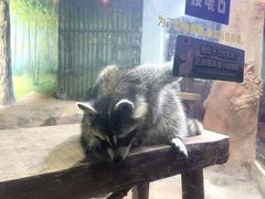 -大连圣亚海洋世界