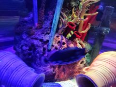 -沈阳海洋探索中心