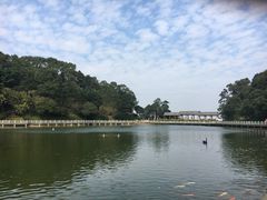 -广州市帽峰山景区