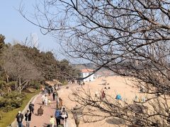 -青岛海滨风景区