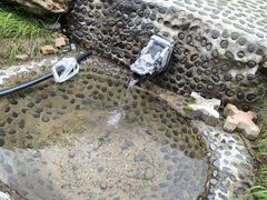 -五女峰国家森林公园