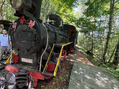 -五营红松林海景区