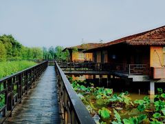 -泗洪洪泽湖湿地景区