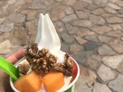 -Salud撒露欧洲冻酸奶(蓝色港湾店)