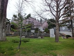 -富田农场