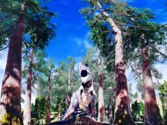 -墨江北回归线标志园