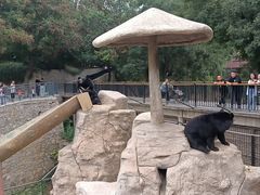 -石家庄市动物园