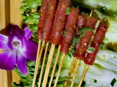 -山野的朋友露营炭火烤肉