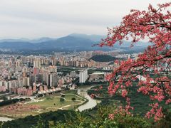 -风云岭森林公园