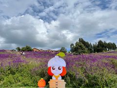 -华侨城阳宗海海景温泉