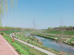 -洨河生态公园
