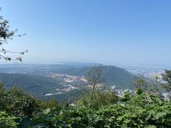 -惠山国家森林公园