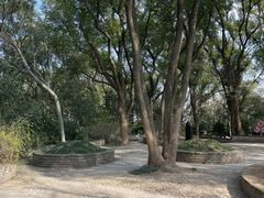 -上海佘山国家森林公园天马山园