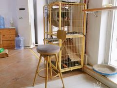 -青春加萌照相馆