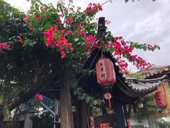 -双廊杨记石锅鱼石锅牛肉