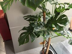 包房-CoCo都可(中闽嘉禾店)